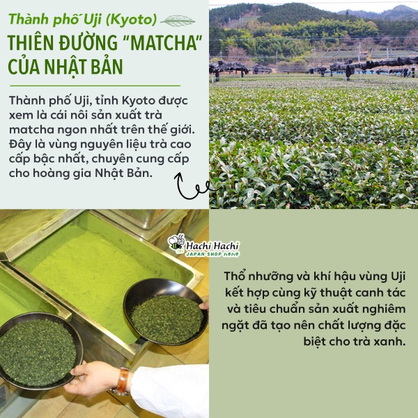 Bot-tra-xanh-matcha-collagen-yanoen-30g.jpg